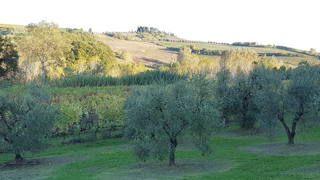 Podere Chiasso Gherardo Peccioli Exterior photo