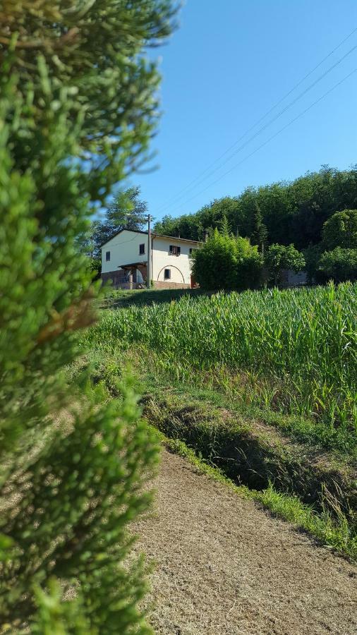 Podere Chiasso Gherardo Peccioli Exterior photo